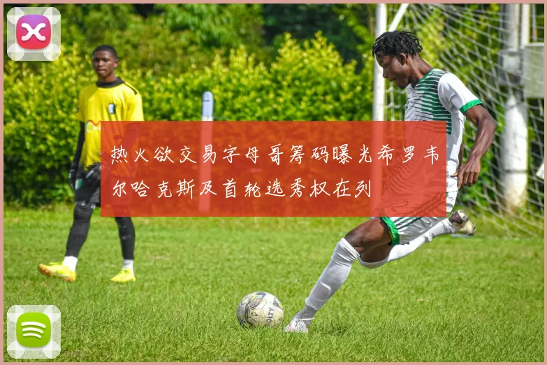 热火欲交易字母哥筹码曝光希罗韦尔哈克斯及首轮选秀权在列