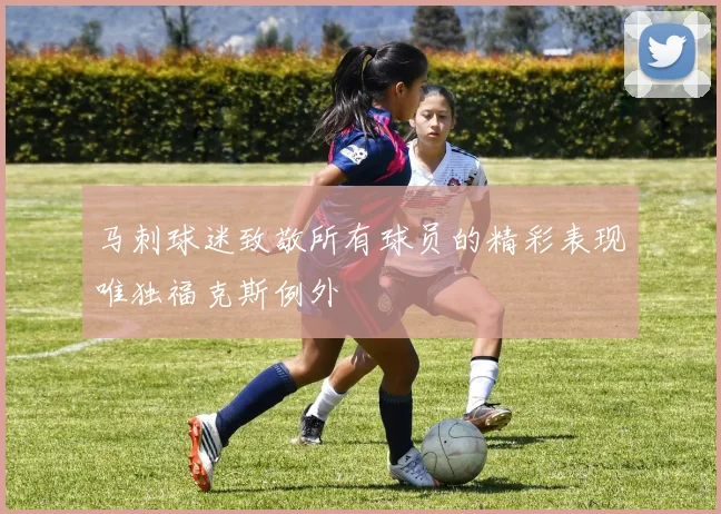 马刺球迷致敬所有球员的精彩表现唯独福克斯例外