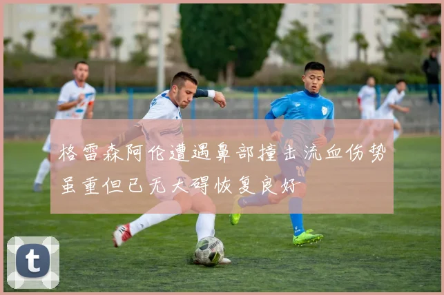 格雷森阿伦遭遇鼻部撞击流血伤势虽重但已无大碍恢复良好